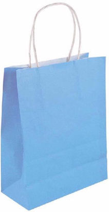 Baby blue Bags with Handle