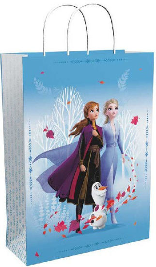 Frozen2 Bags with Handles 