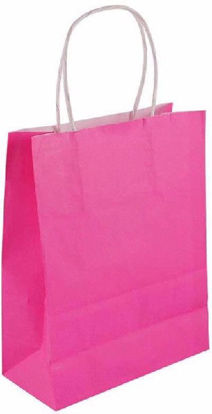 Hot Pink Bag with Handles
