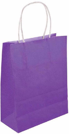 Purple Bag with Handles