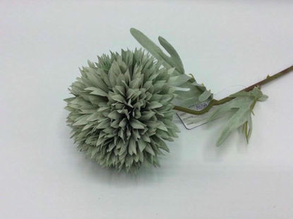 Picture of ALIUM SINGLE STEM 50CM GREY GREEN