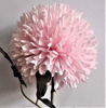 Picture of ALIUM SINGLE STEM 50CM PINK