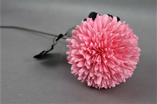 Picture of ALIUM SINGLE STEM 50CM SUGAR PINK