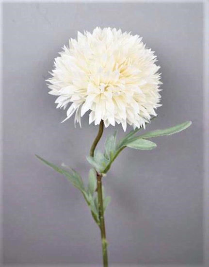 Picture of ALIUM SINGLE STEM 50CM WHITE