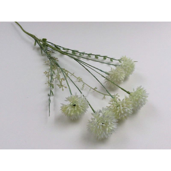 Picture of ALLIUM SPRAY IVORY