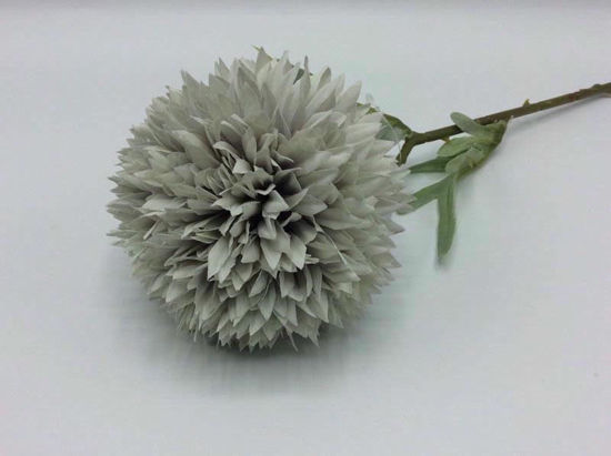 Picture of ALIUM SINGLE STEM 50CM DARK GREY