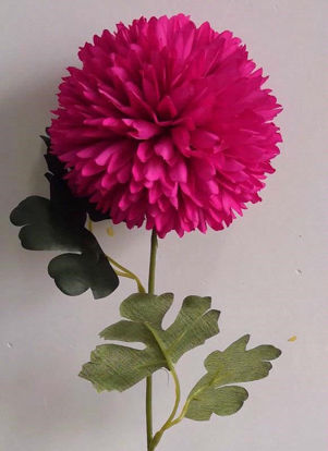 Picture of ALIUM SINGLE STEM 50CM FUCHSIA