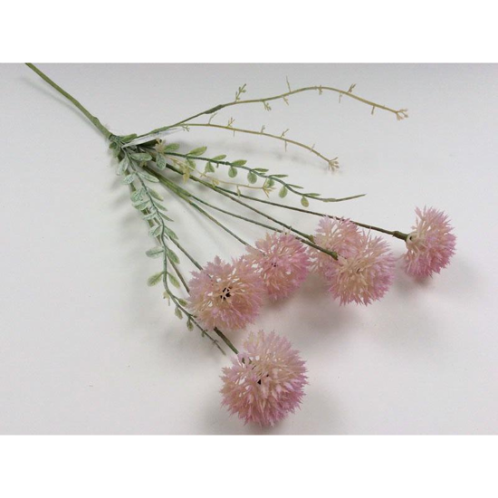 Picture of ALLIUM SPRAY PINK