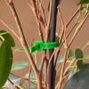 Picture of AMTECH CABLE TIES 300X4.8MM GREEN