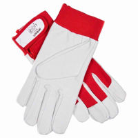 Picture of AMTECH FINE LEATHER GLOVES *L*