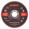 Picture of AMTECH FLAP DISC 60 GRIT 0300