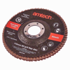 Picture of AMTECH FLAP DISC 60 GRIT 0300