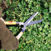 Picture of AMTECH GARDEN SHEARS 8 INCH WOODEN HANDLE