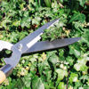 Picture of AMTECH GARDEN SHEARS 8 INCH WOODEN HANDLE