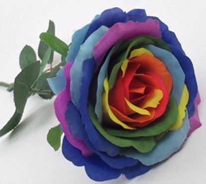 Picture of BLOOMING ROSE STEM 10CM RAINBOW