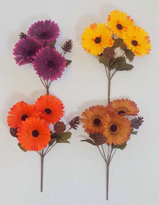 Picture of AUTUMN GERBERA CONE BUSH