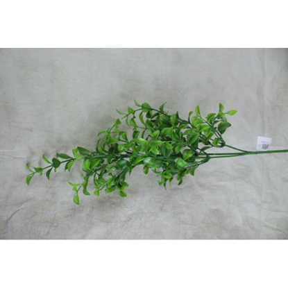 Picture of BOX LEAF SPRAY 68CM GREEN