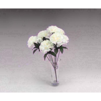 Picture of CARNATION BOUQUET CREAM 8 HD