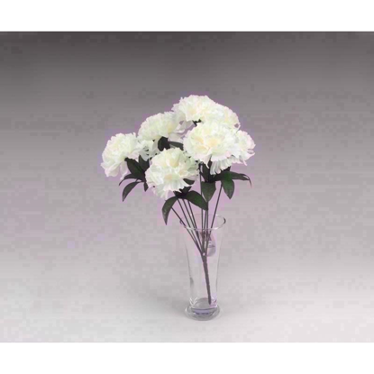 Picture of CARNATION BOUQUET CREAM 8 HD