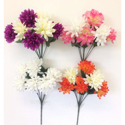 Picture of CHRYSANTHEMUM BUSH 4 COLOURS