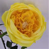 Picture of ENGLISH ROSE SPRAY 63CM YELLOW