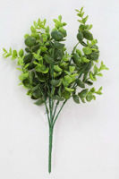 Picture of EUCALYPYUS BUNCH GREY/GREEN