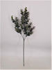 Picture of EUCALYPYUS SPRAY GREY/GREEN