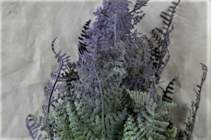 Picture of FOREST FERN 46CM GREEN/LAVENDER