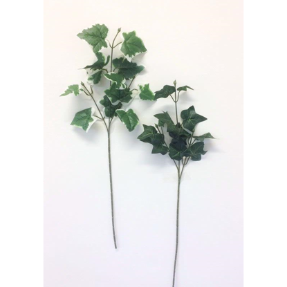 Picture of IVY STEM GREEN