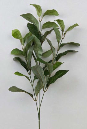 Picture of LAUREL LEAF SPRAY 71CM