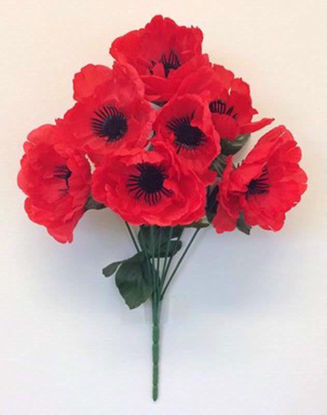 Picture of POPPY RED BUSH