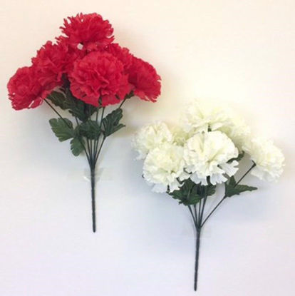 Picture of ROSE CARNATION BUSH RED CREAM MIX