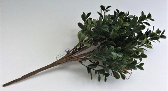 Picture of BOX LEAF BUNDLE 36CM