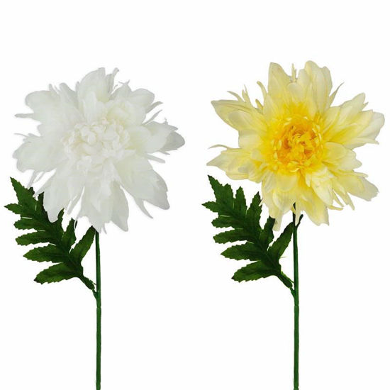 Picture of CHRYSANTHEMUM SINGLE STEM 60CM WHITE YELLOW