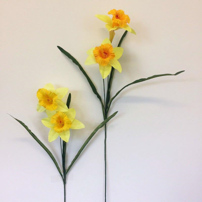 Picture of DAFFODIL SINGLE STEM
