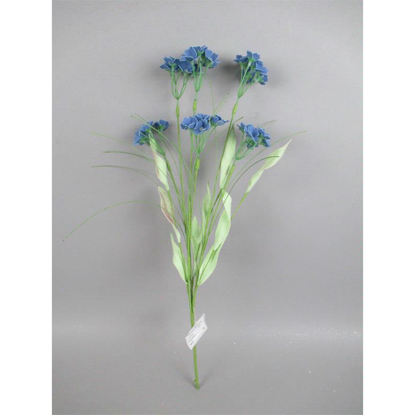 Picture of FORGET-ME-KNOT STEM BLUE