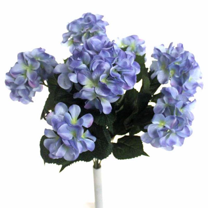 Picture of HYDRANGEA GIANT BUSH BLUE