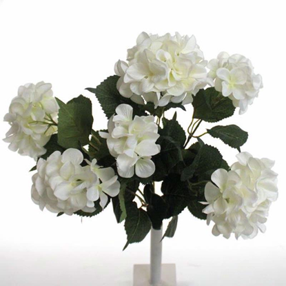 Picture of HYDRANGEA GIANT BUSH IVORY