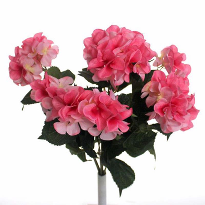 Picture of HYDRANGEA GIANT BUSH PINK