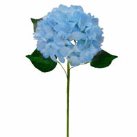 Picture of HYDRANGEA LONG STEM 60CM BLUE