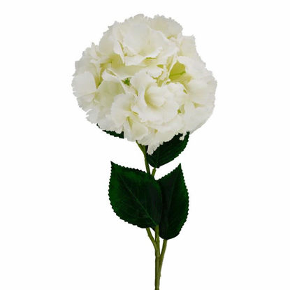 Picture of HYDRANGEA LONG STEM 73CM IVORY