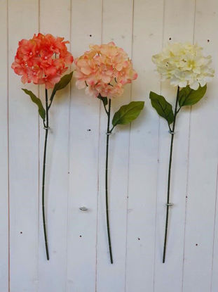 Picture of HYDRANGEA STEM CORAL COLOURS