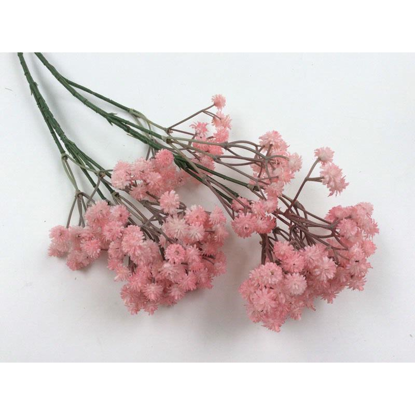 Picture of JAPANESE BLOSSOMS PINK