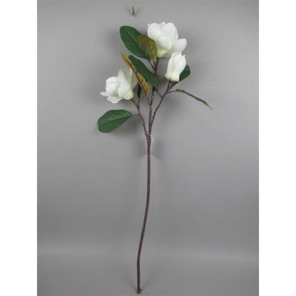 Picture of MAGNOLIA LEAF SPRAY IVORY
