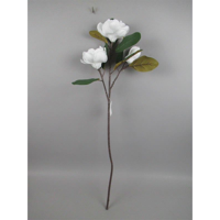 Picture of MAGNOLIA LEAF SPRAY WHITE