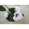 Picture of MAGNOLIA LEAF SPRAY WHITE