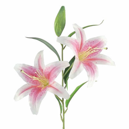 Picture of ORIENTAL LILY 92CM PINK