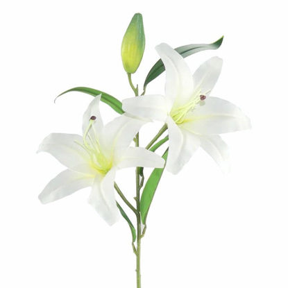 Picture of ORIENTAL LILY 92CM WHITE