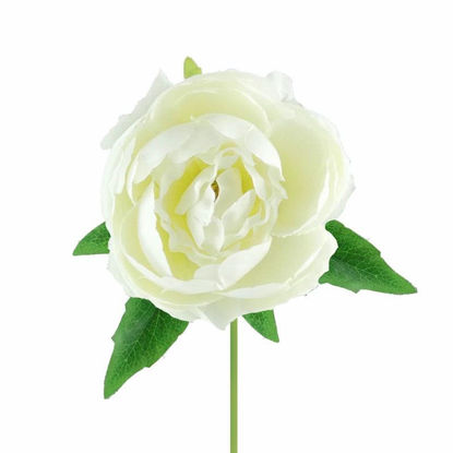 Picture of PEONY SILNGLE STEM 52CM IVORY