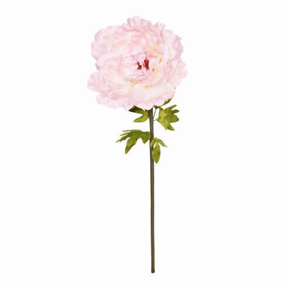 Picture of ROSE PEONY STEM 128CM PEACH